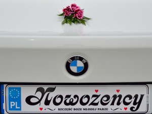 Dekoracja BMW-07-  