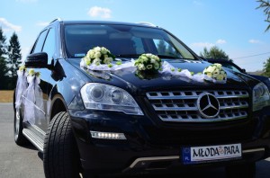 Mercedes-ML_25 